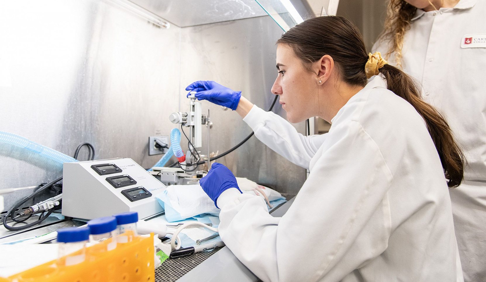 Specjalista analizujący dane kliniczne na ekranie komputera w laboratorium bioinformatycznym