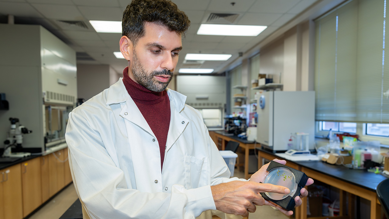 studenci kopią kanał irygacyjny podczas warsztatów polowych z łopatami